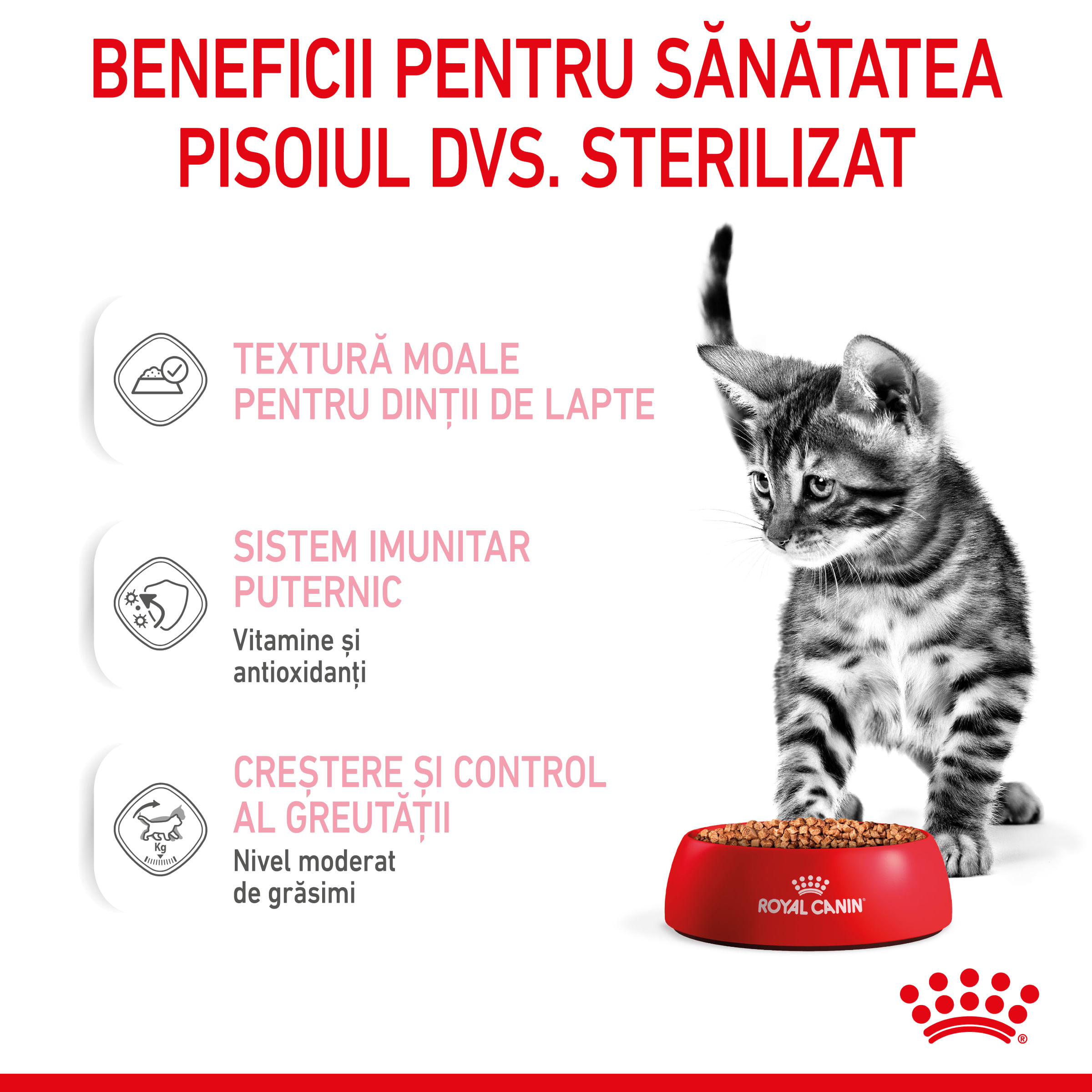 ROYAL CANIN Kitten Sterilised hrană umedă pisici sterilizate junior (în sos), 85g - 3 | YEO