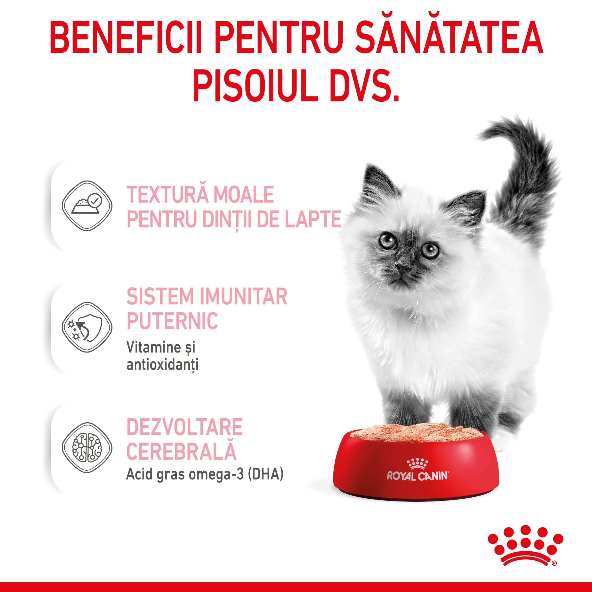 ROYAL CANIN Kitten, hrană umedă pisici junior, (pate), 85g - 3 | YEO