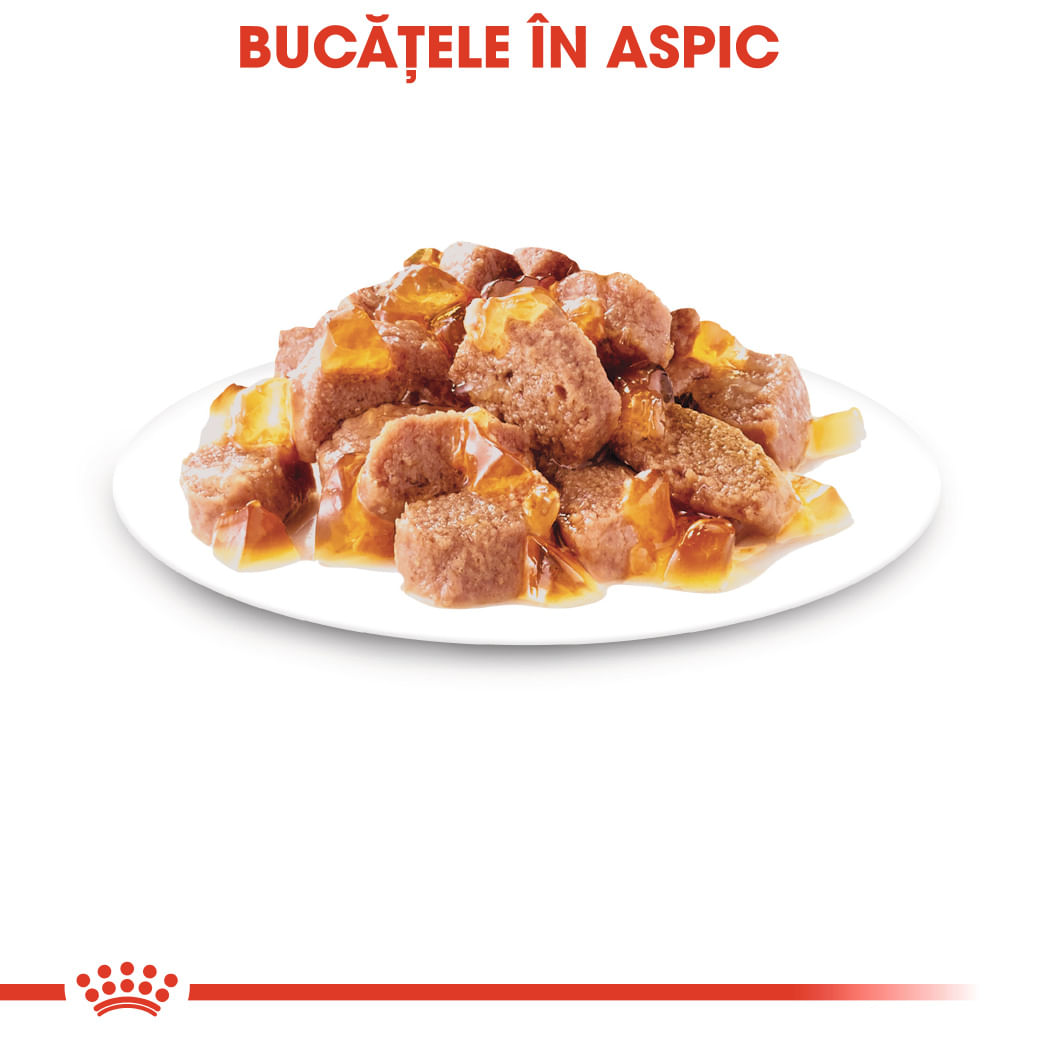 ROYAL CANIN Sterilised Adult hrană umedă pisici sterilizate (în aspic), 85g