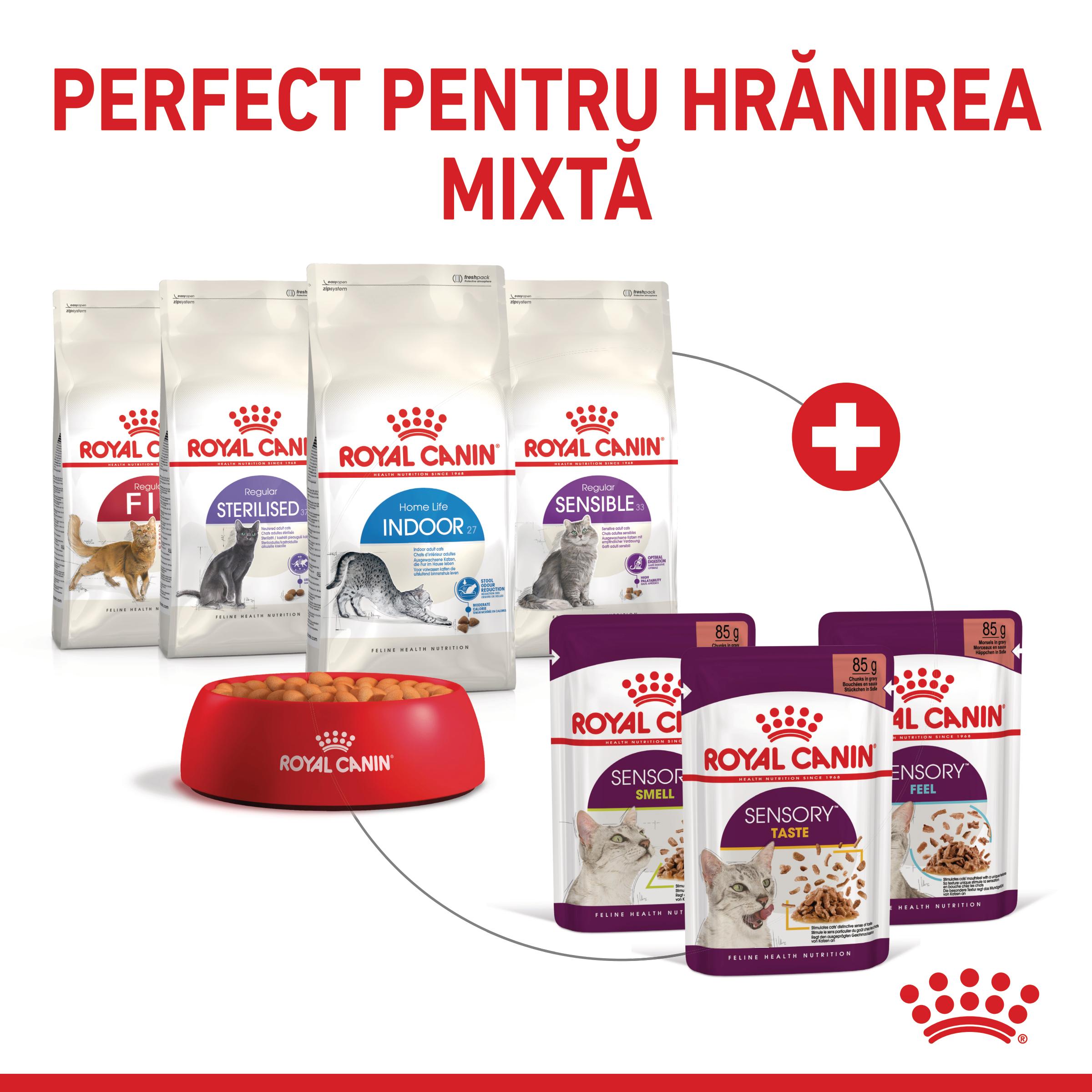 ROYAL CANIN Sensory Taste hrană umedă pisici stimularea gustului (în sos), 85g