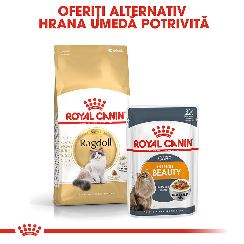 ROYAL CANIN Ragdoll Adult hrană uscată pisici, 2kg