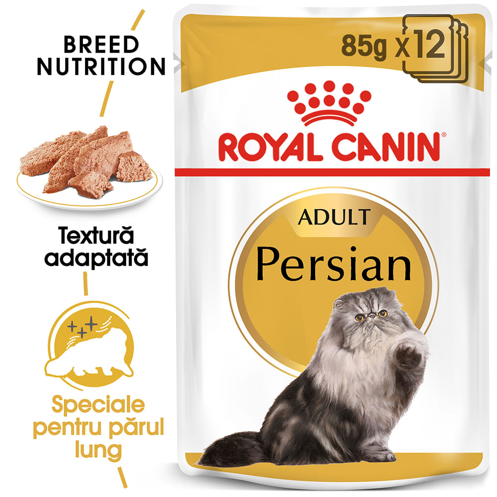 ROYAL CANIN Persian Adult, hrană umedă pisici, (pate), bax, 85g x 12buc