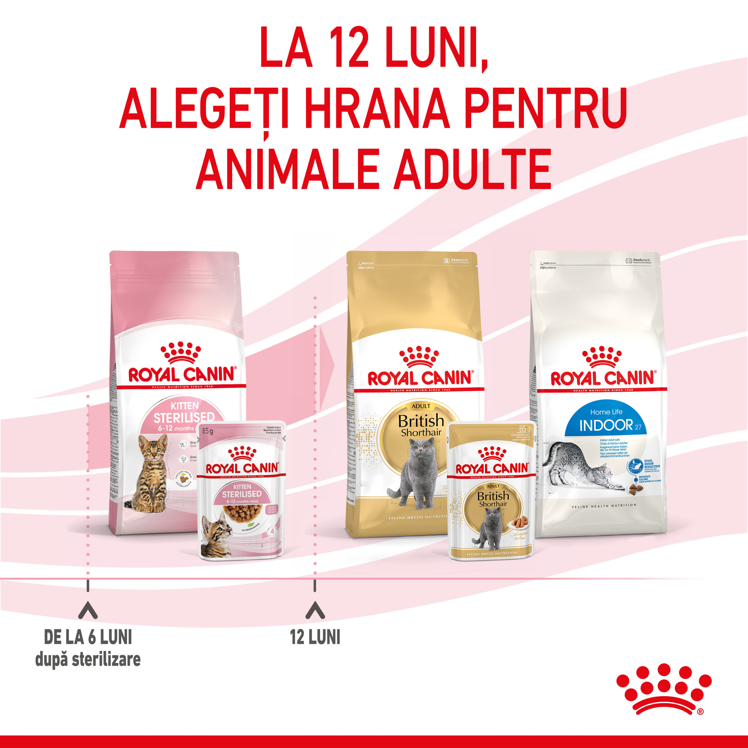 ROYAL CANIN Kitten Sterilised hrană umedă pisici sterilizate junior (în sos), 85g