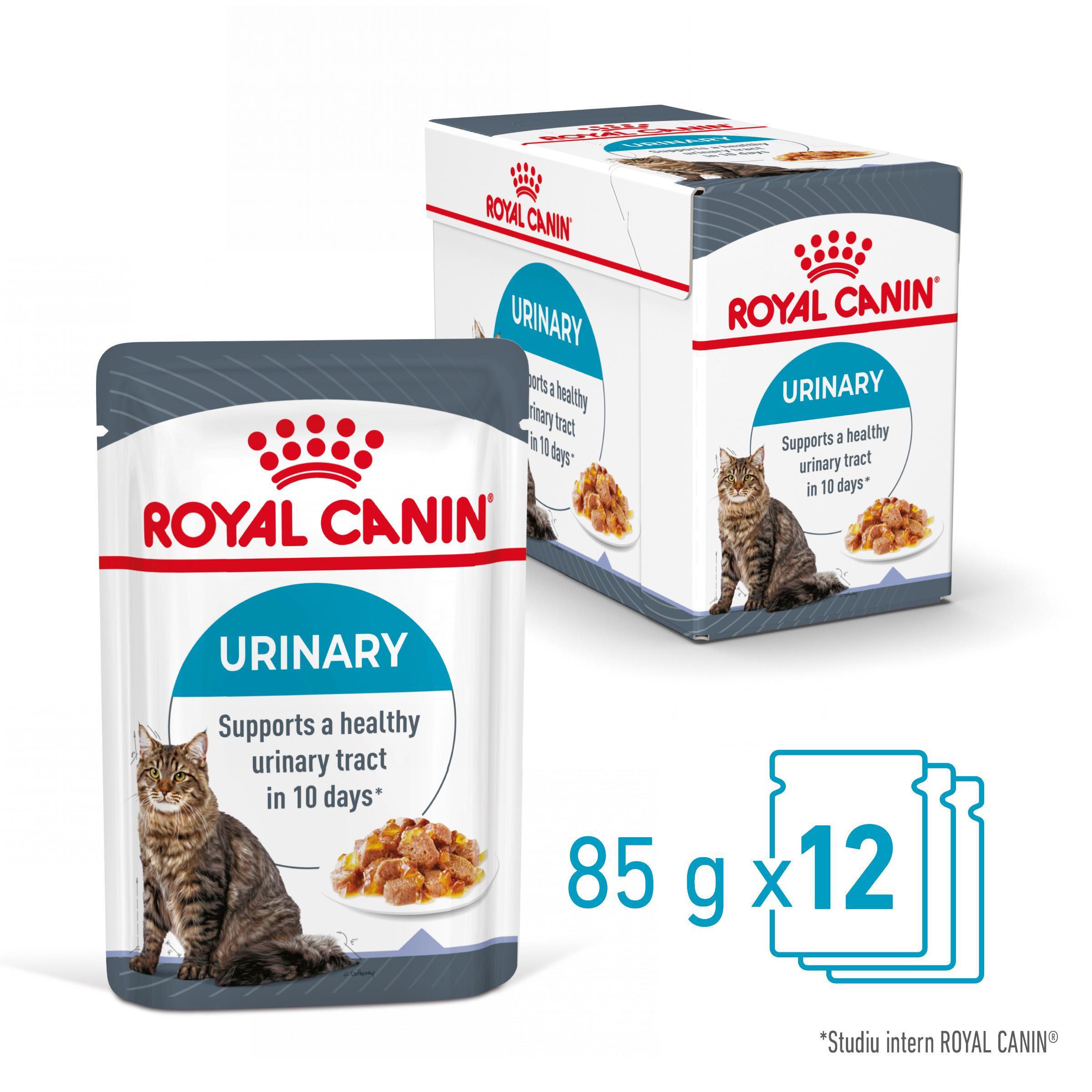 ROYAL CANIN Urinary Care Adult hrană umedă pisici sănătatea tractului urinar (în aspic), bax, 85g x 12buc