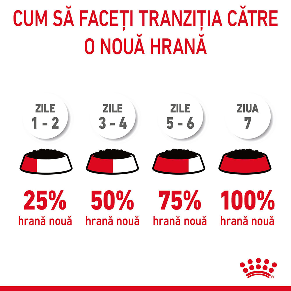 ROYAL CANIN Hairball Care Adult hrană umedă pisici limitarea ghemurilor de blană (în aspic), bax, 85g x 12buc