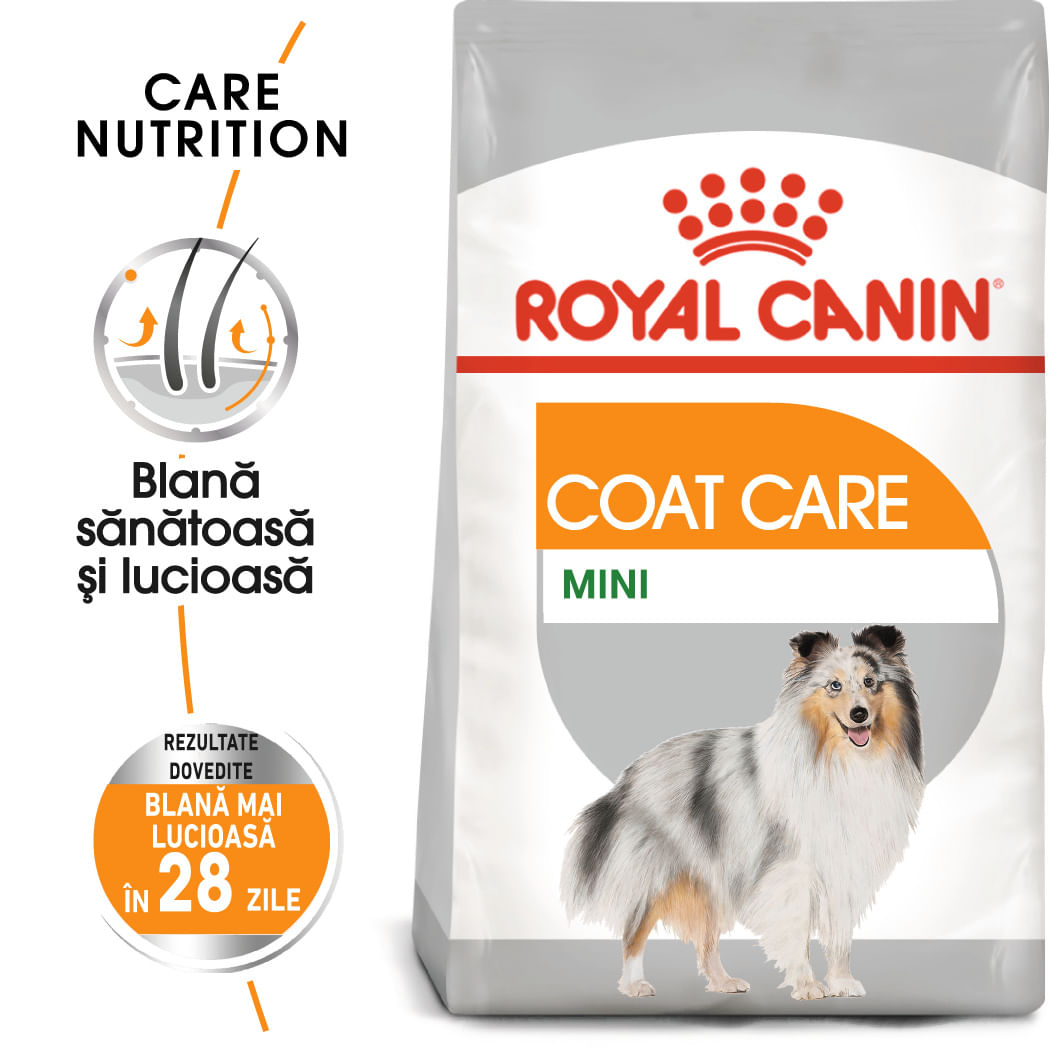 ROYAL CANIN Mini Coat Care Adult, hrană uscată câini, 3kg