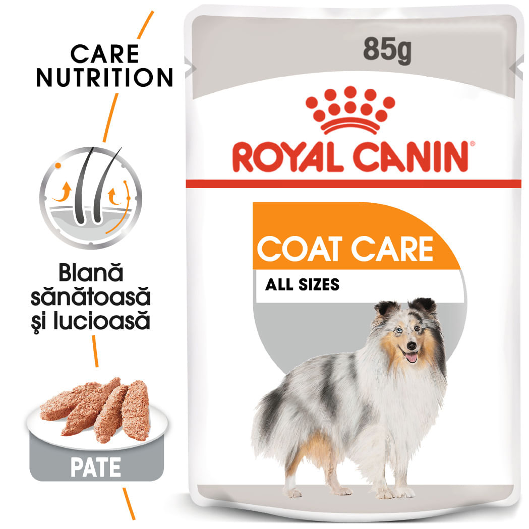 ROYAL CANIN Coat Care Adult, hrană umedă câini, blană sănătoasă și lucioasă, (pate), 85g