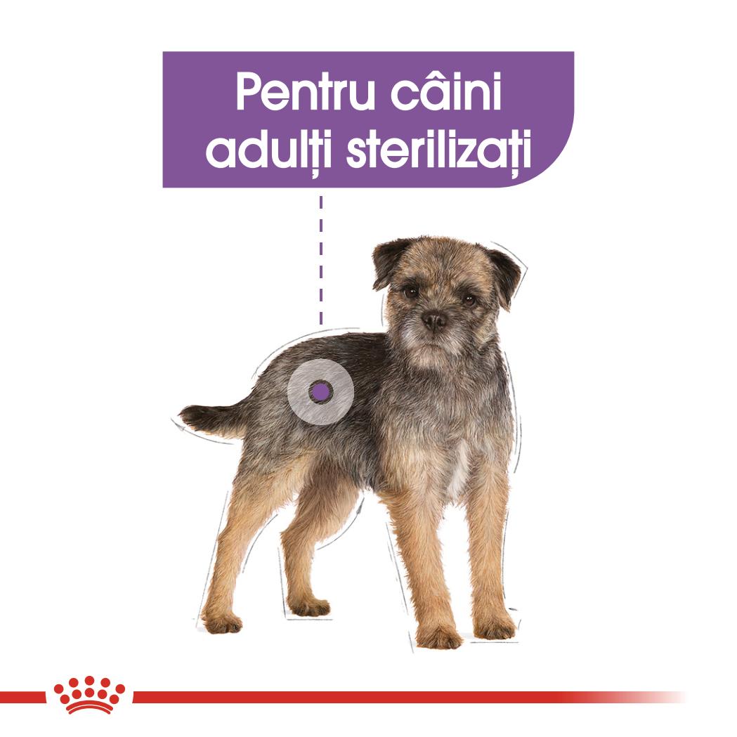 ROYAL CANIN Sterilised Adult, hrană umedă câini sterilizați, (pate), 85g - 3 | YEO