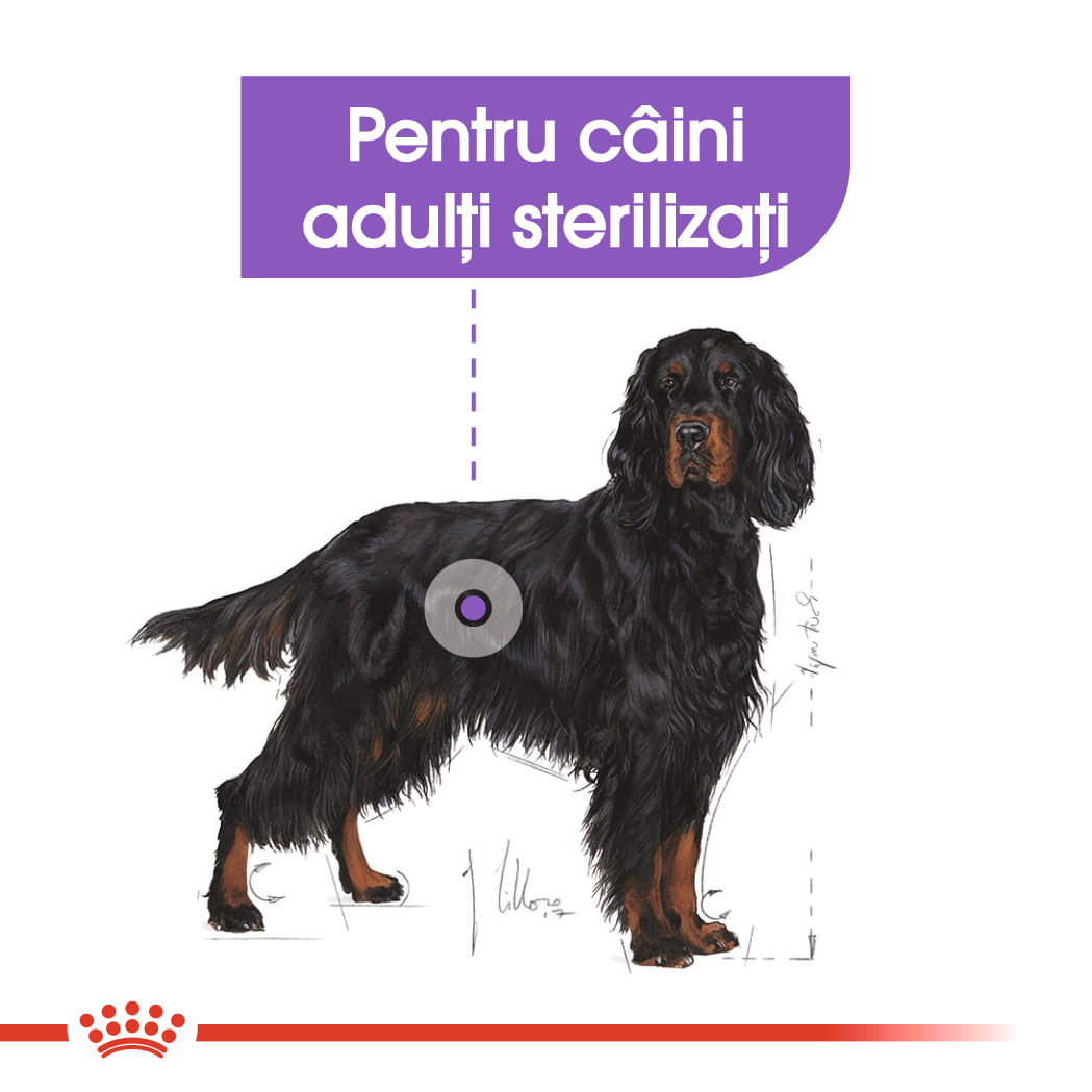 ROYAL CANIN Maxi Sterilised Adult hrană uscată câini sterilizați, 12kg - 3 | YEO