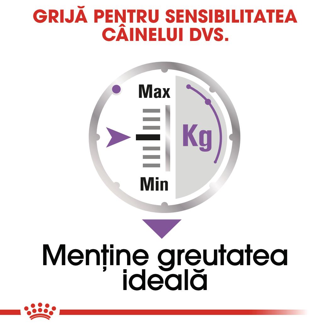 ROYAL CANIN Sterilised Adult, hrană umedă câini sterilizați, (pate), 85g