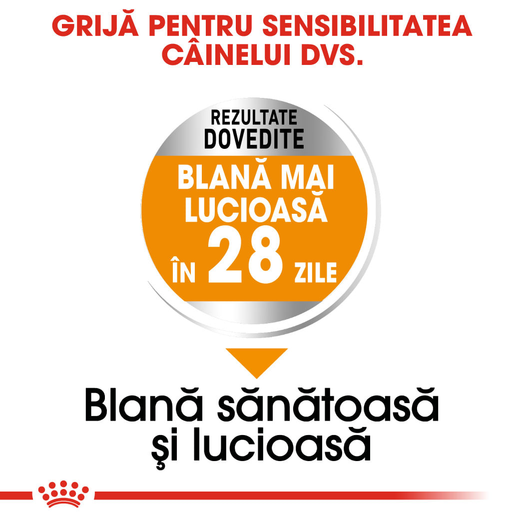 ROYAL CANIN Mini Coat Care Adult, hrană uscată câini, 3kg