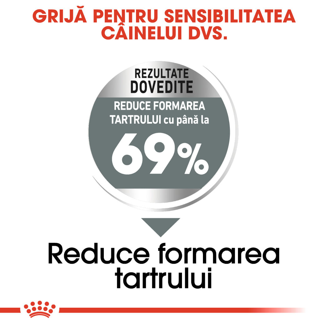 ROYAL CANIN Mini Dental Care Adult, hrană uscată câini, reducerea formării tartrului, 1kg