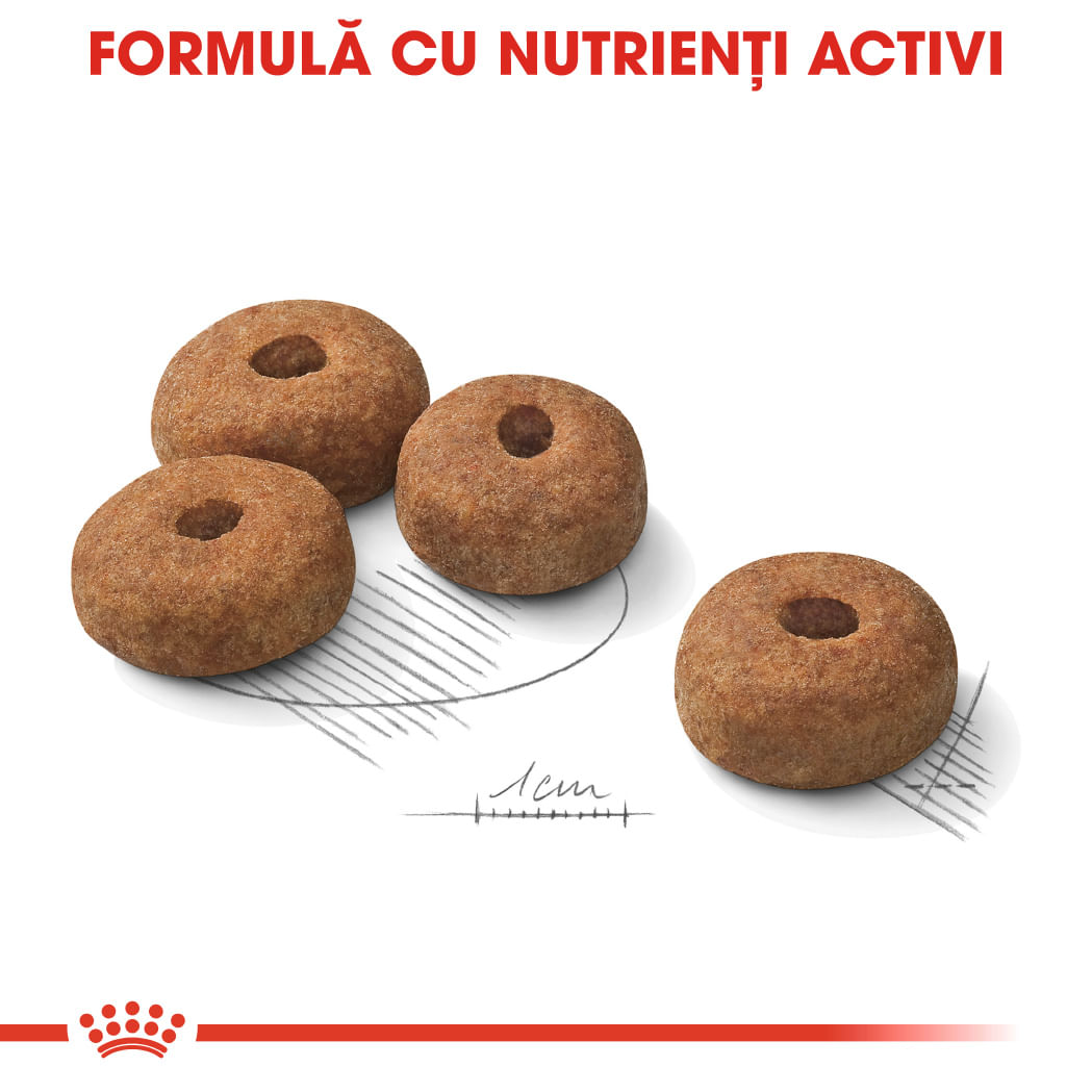 ROYAL CANIN Maxi Sterilised Adult hrană uscată câini sterilizați, 12kg