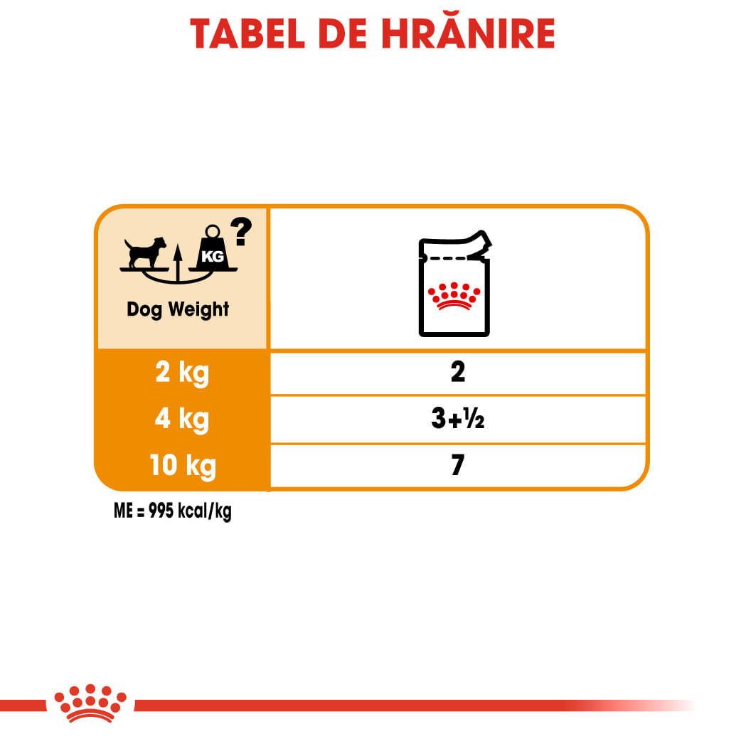 ROYAL CANIN Coat Care Adult, hrană umedă câini, blană sănătoasă și lucioasă, (pate), 85g