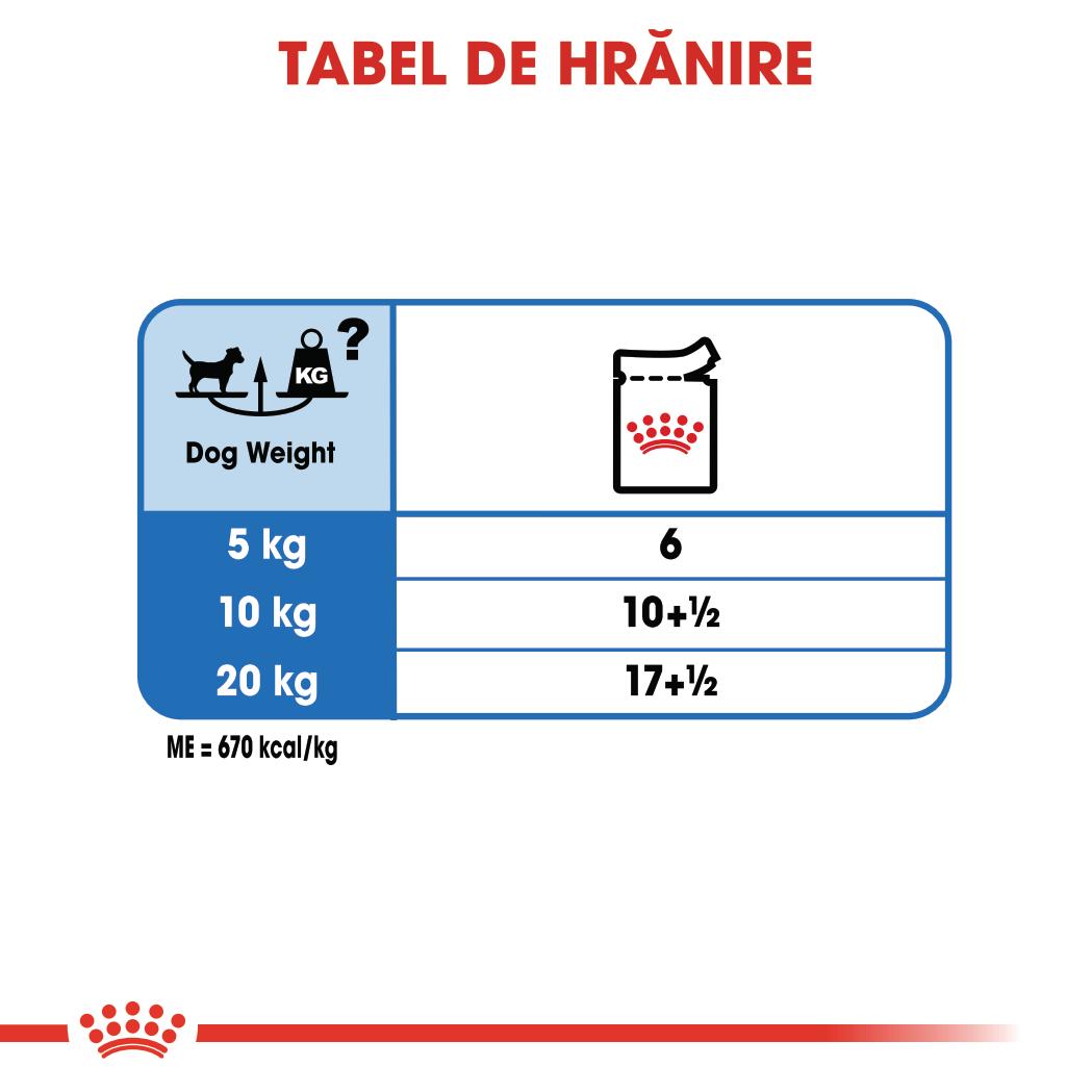 ROYAL CANIN Light Weight Care Adult, hrană umedă câini, limitarea creșterii în greutate, (pate), 85g