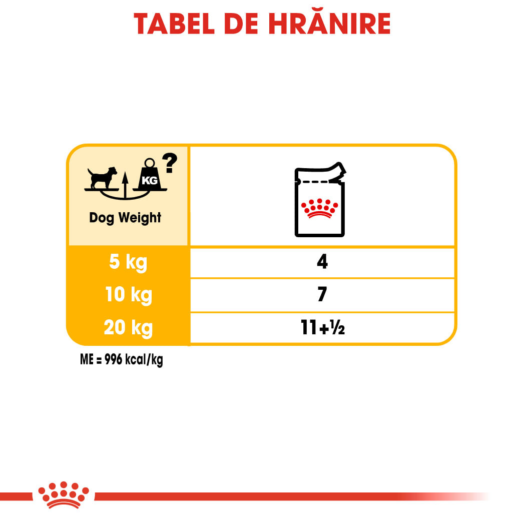 ROYAL CANIN Dermacomfort Adult, hrană umedă câini, prevenirea iritațiilor pielii, (pate), 85g