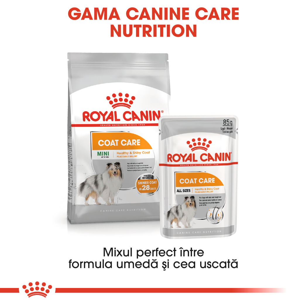 ROYAL CANIN Coat Care Adult, hrană umedă câini, blană sănătoasă și lucioasă, (pate), 85g