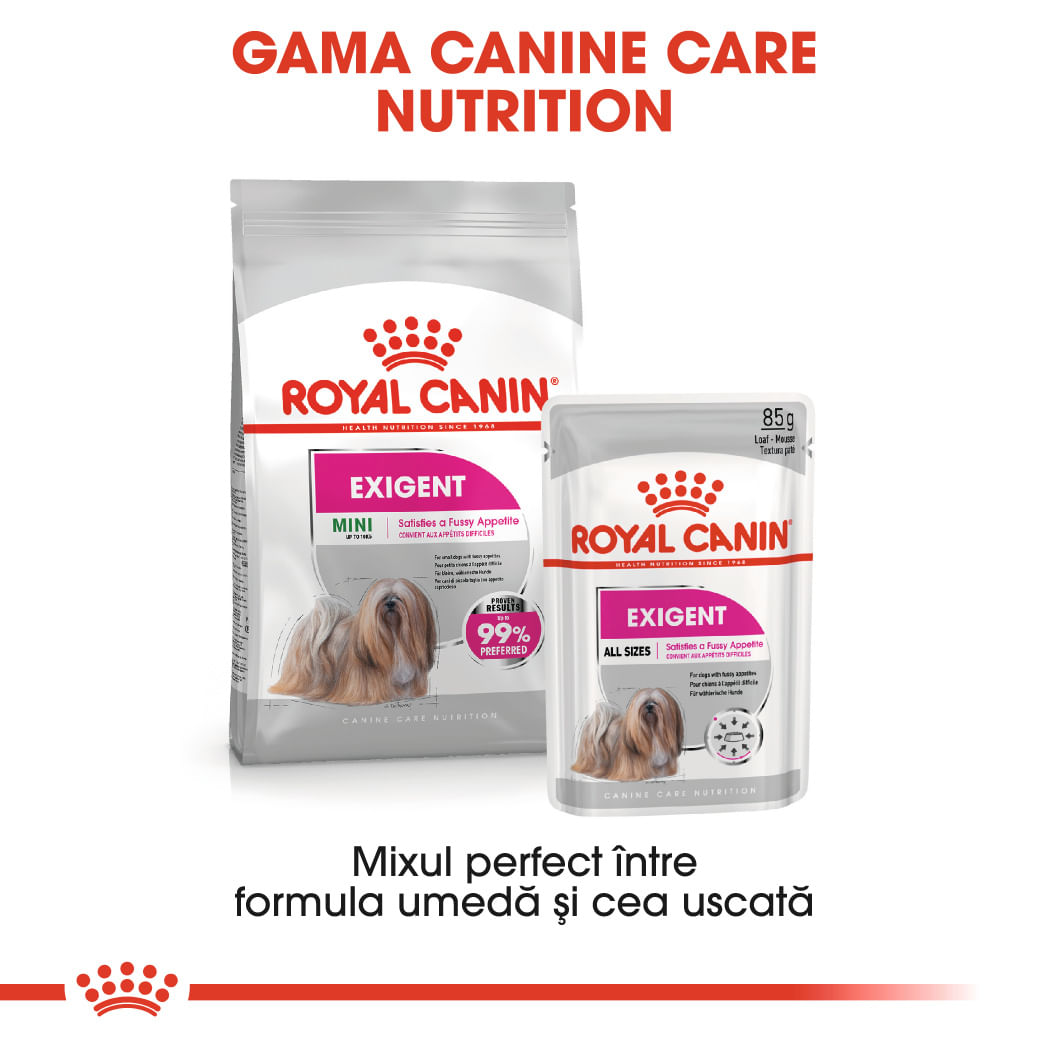 ROYAL CANIN Exigent Adult hrană umedă câini apetit capricios (pate), 85g