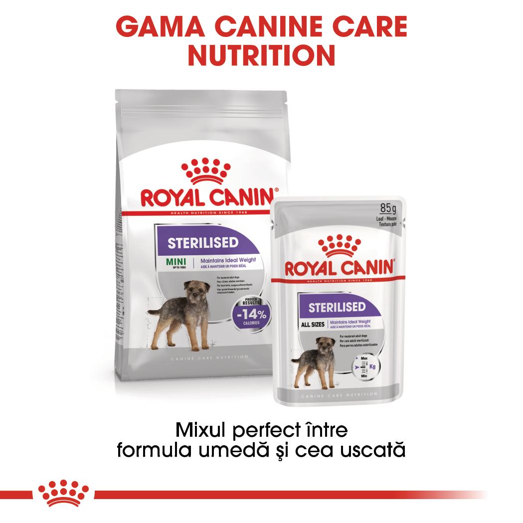 ROYAL CANIN Sterilised Adult, hrană umedă câini sterilizați, (pate), 85g