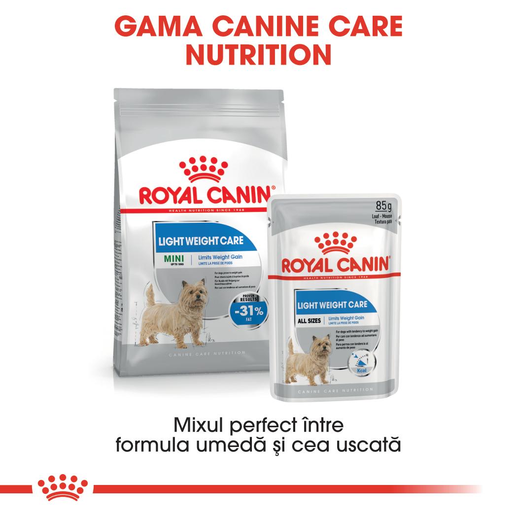 ROYAL CANIN Light Weight Care Adult, hrană umedă câini, limitarea creșterii în greutate, (pate), 85g