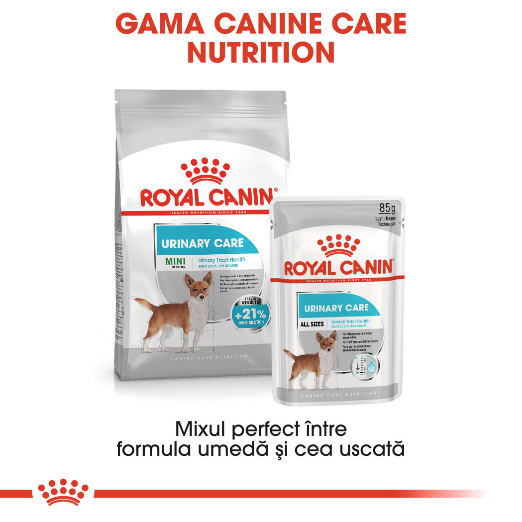 ROYAL CANIN Urinary Care Adult, hrană umedă câini, sănătatea tractului urinar, (pate), 85g