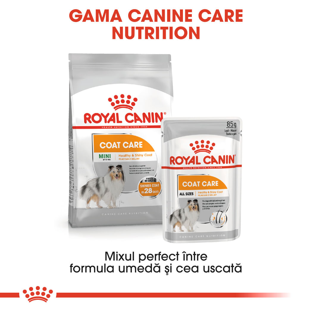 ROYAL CANIN Mini Coat Care Adult, hrană uscată câini, 3kg