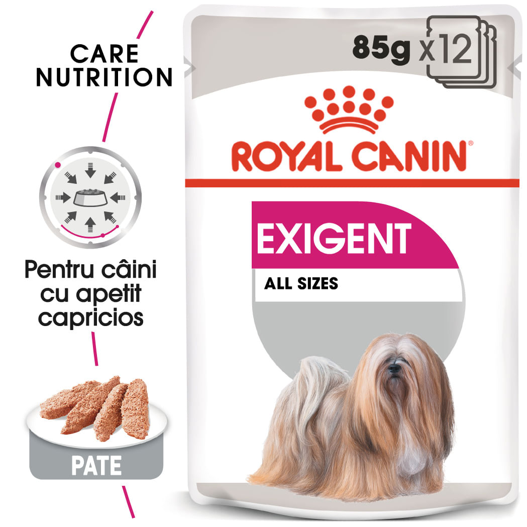 ROYAL CANIN Exigent Adult hrană umedă câini apetit capricios (pate), bax, 85g x 12buc