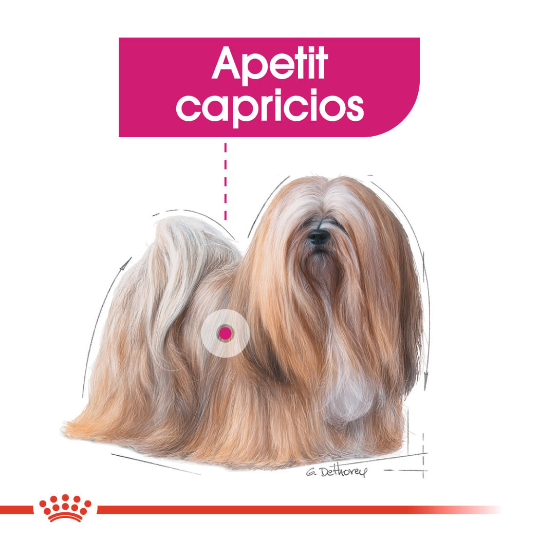 ROYAL CANIN Exigent Adult hrană umedă câini apetit capricios (pate), bax, 85g x 12buc - 3 | YEO