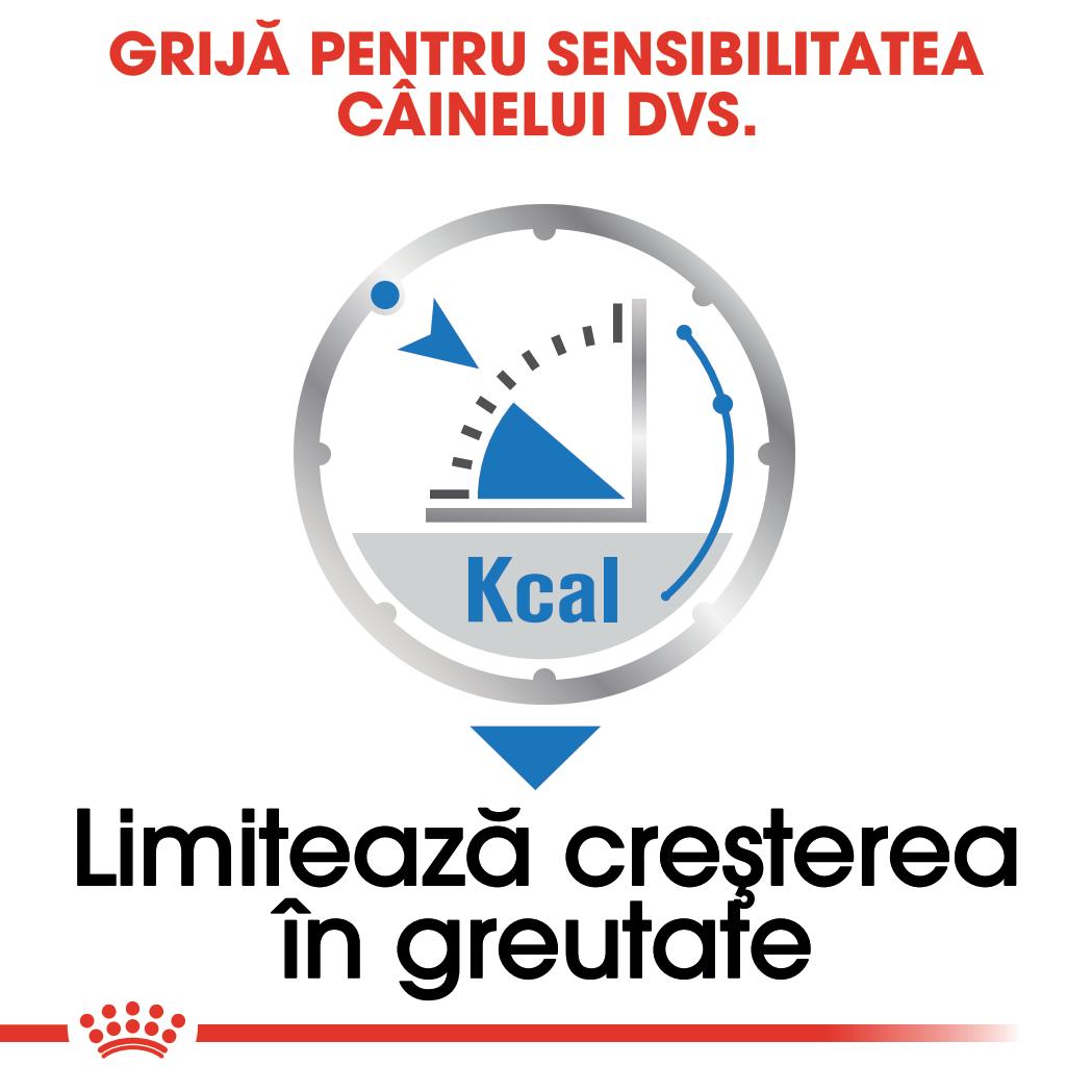 ROYAL CANIN Light Weight Care Adult, hrană umedă câini, limitarea creșterii în greutate, (pate), bax, 85g x 12buc