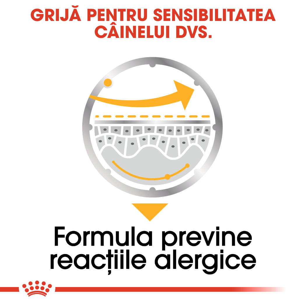 ROYAL CANIN Dermacomfort Adult, hrană umedă câini, prevenirea iritațiilor pielii, (pate), bax, 85g x 12buc
