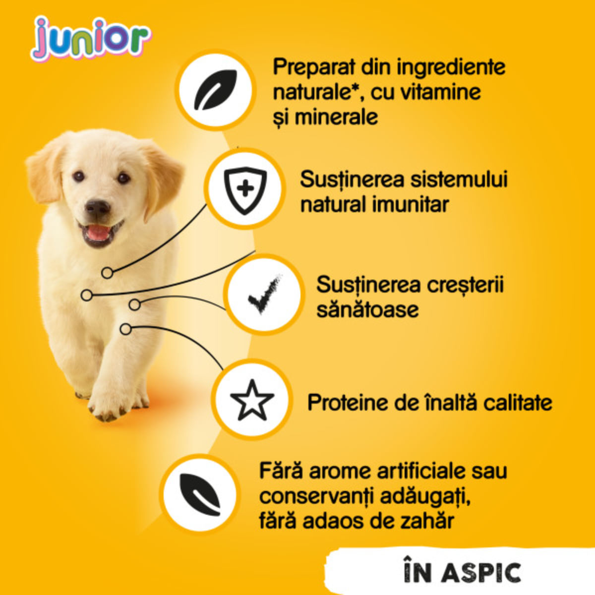 PEDIGREE Junior, XS-XL, Pui, conservă hrană umedă câini junior, (în aspic), 400g - 3 | YEO