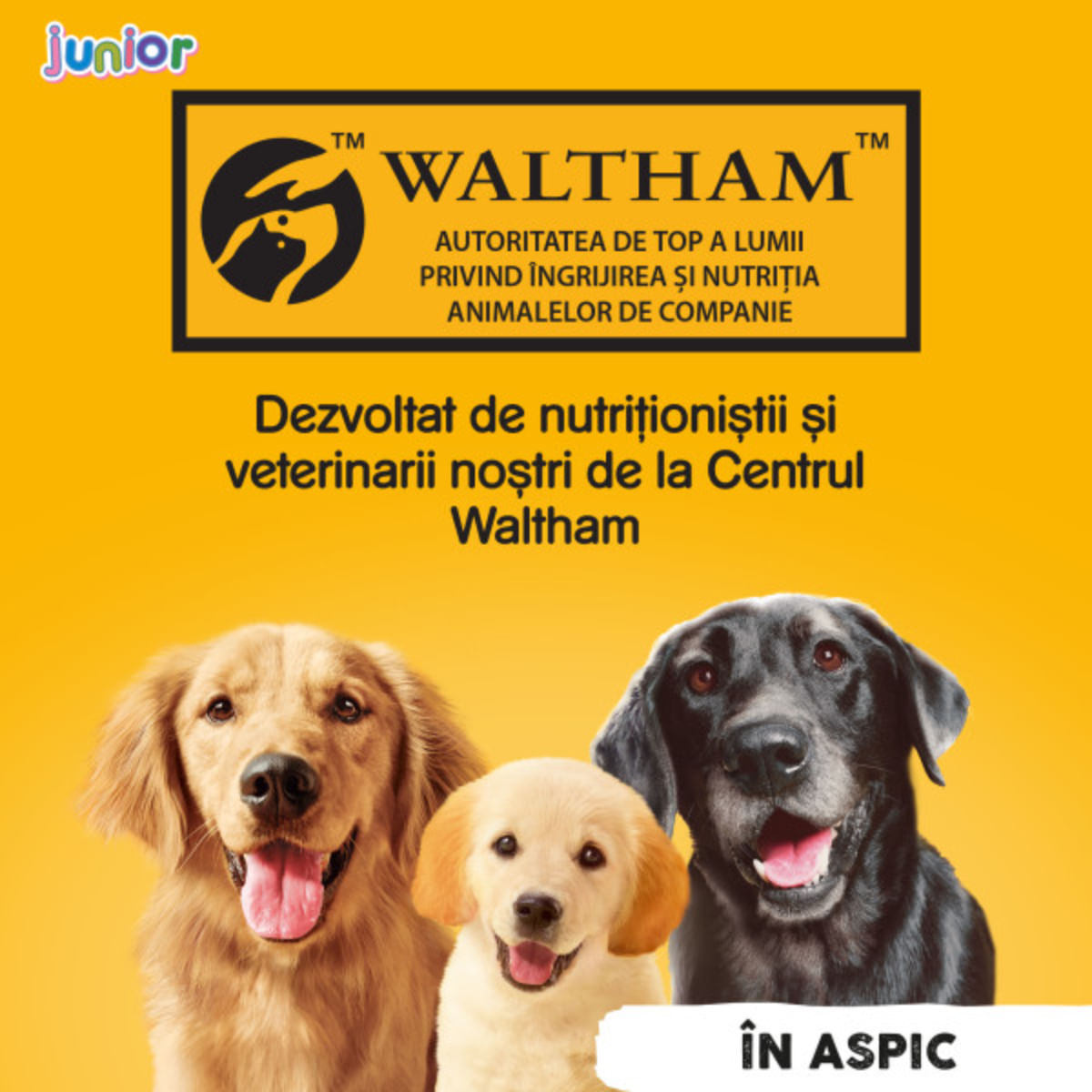 PEDIGREE Junior, XS-XL, Pui, conservă hrană umedă câini junior, (în aspic), 400g