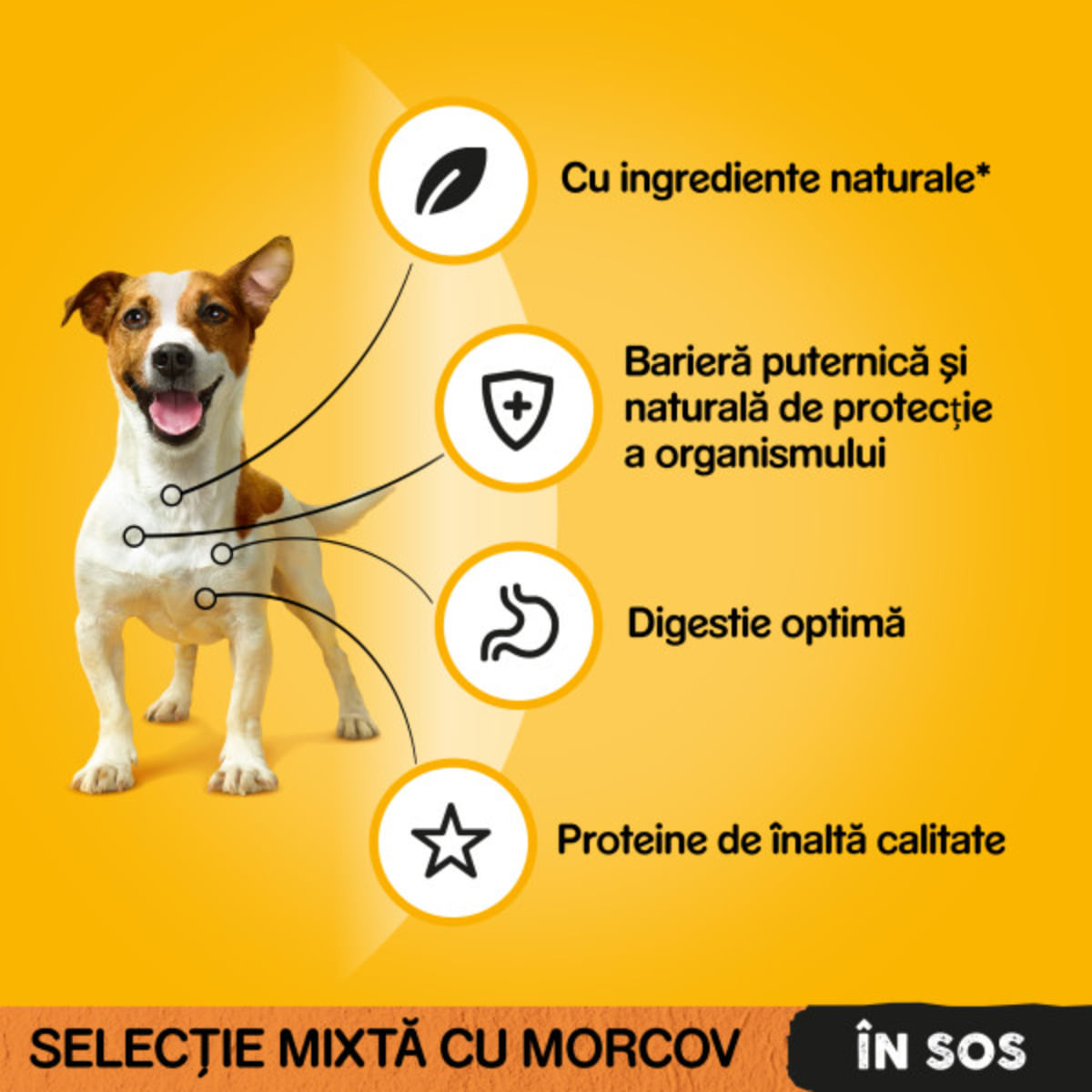 PEDIGREE Selectie Mixtă, XS-XL, Vită și Curcan, plic hrană umedă câini, (în sos), multipack, 100g x 4buc