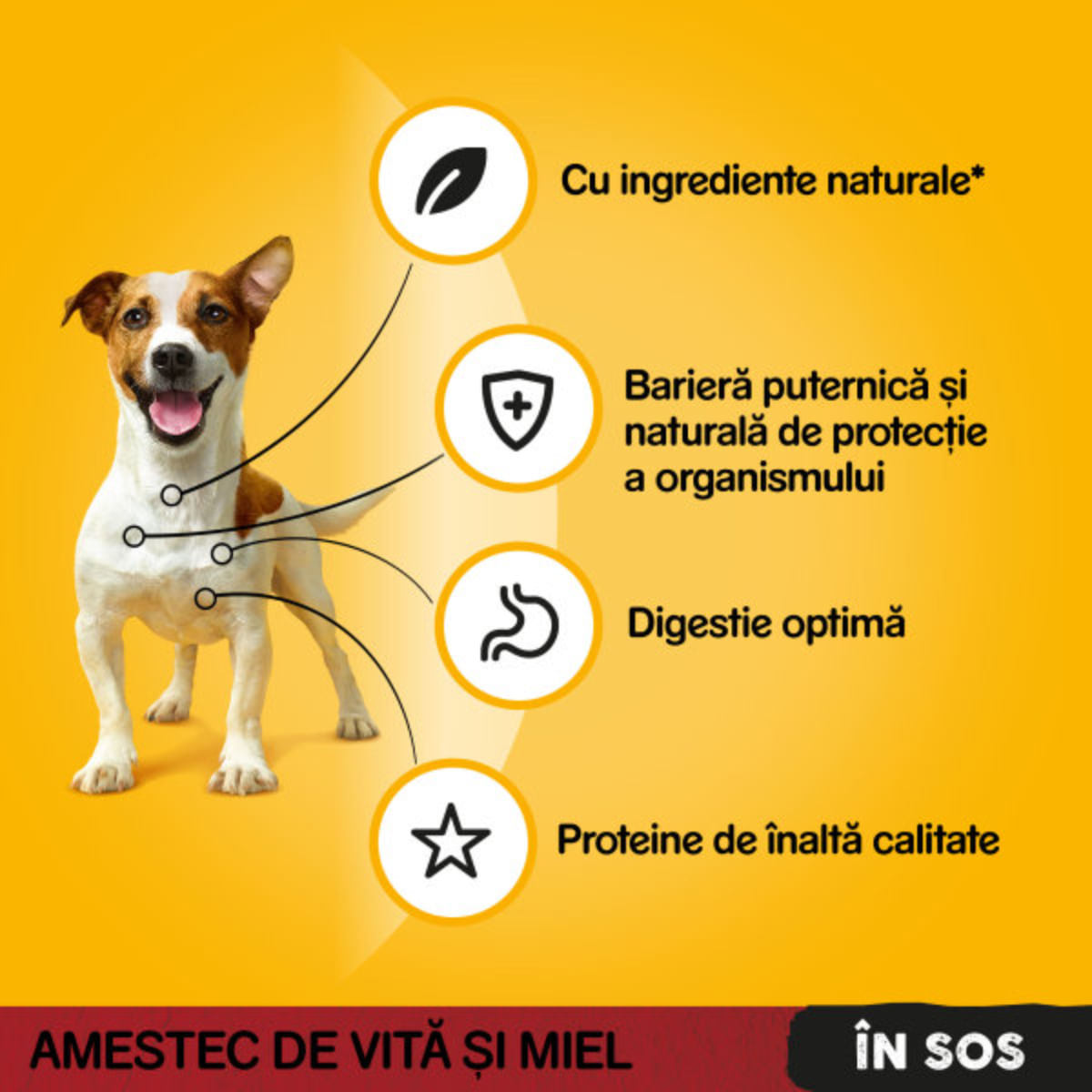 PEDIGREE, XS-XL, Vită și Miel, plic hrană umedă câini, (în sos), bax, 100g x 24buc
