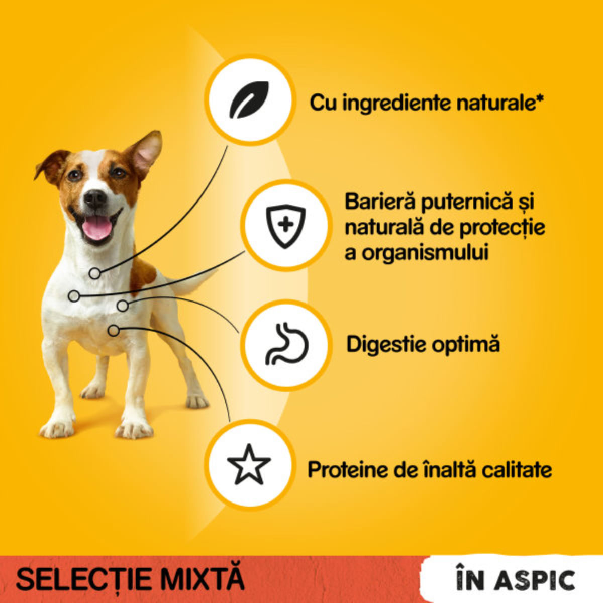 PEDIGREE Selectie Mixtă, XS-XL, Vită și Pasăre, plic hrană umedă câini, (în aspic), bax, 400g x 13buc
