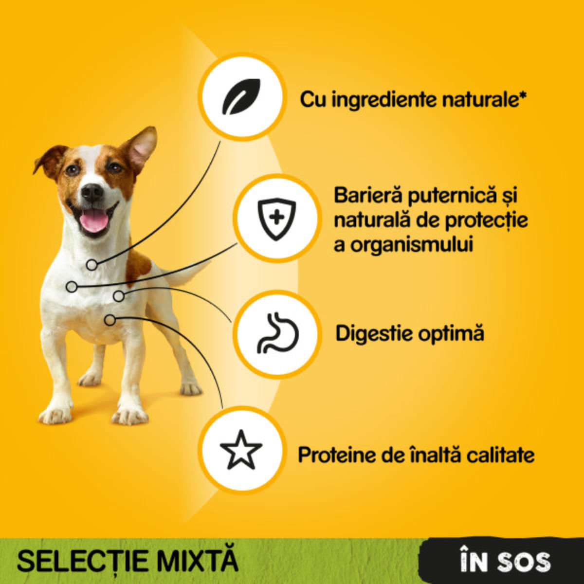 PEDIGREE, XS-XL, Vită și Pasăre, plic hrană umedă câini, (în sos), bax, 400g x 13buc