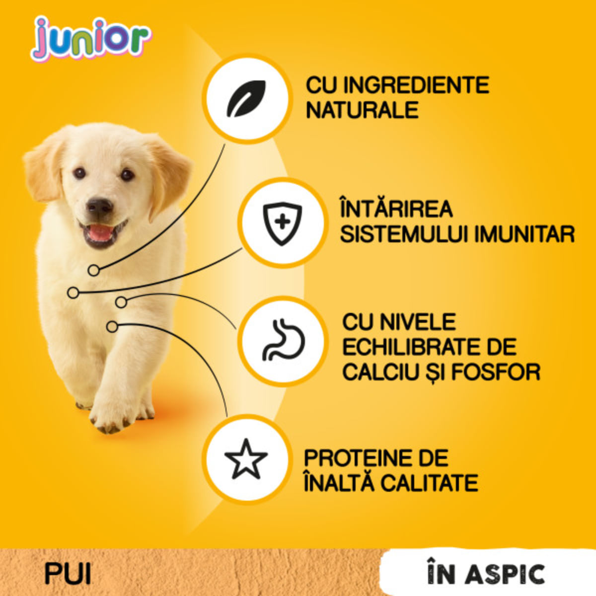 PEDIGREE Junior, XS-XL, Pui, plic hrană umedă câini junior, (în aspic), bax, 100g x 24buc