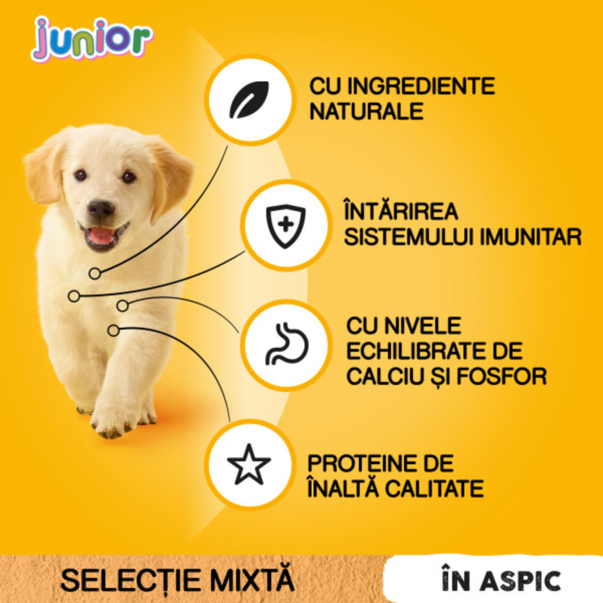 PEDIGREE Junior Selectie Mixta, XS-XL, Carne și Orez, plic hrană umedă câini junior, (în aspic), bax, 400g x 13buc