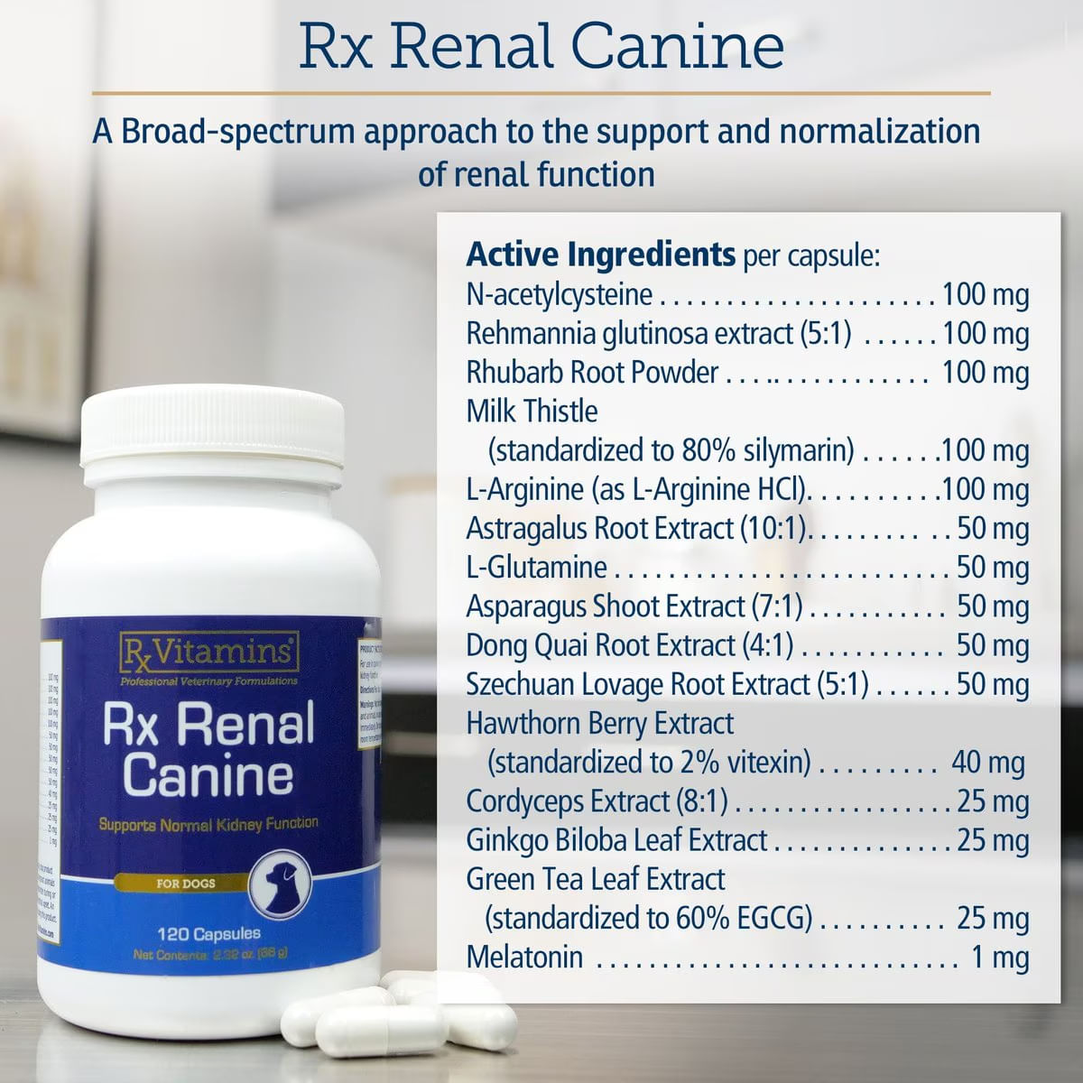 RX VITAMINS Renal Canine, supliment sistem renal câini, capsule RX VITAMINS Renal Canine, supliment sistem renal câini, flacon, 120 capsule - 2 | YEO