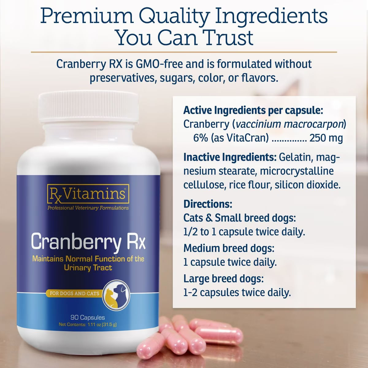 RX VITAMINS Cranberry, supliment sistem urinar câini, capsule RX VITAMINS Cranberry, supliment sistem urinar câini și pisici, flacon, 90 capsule - 2 | YEO