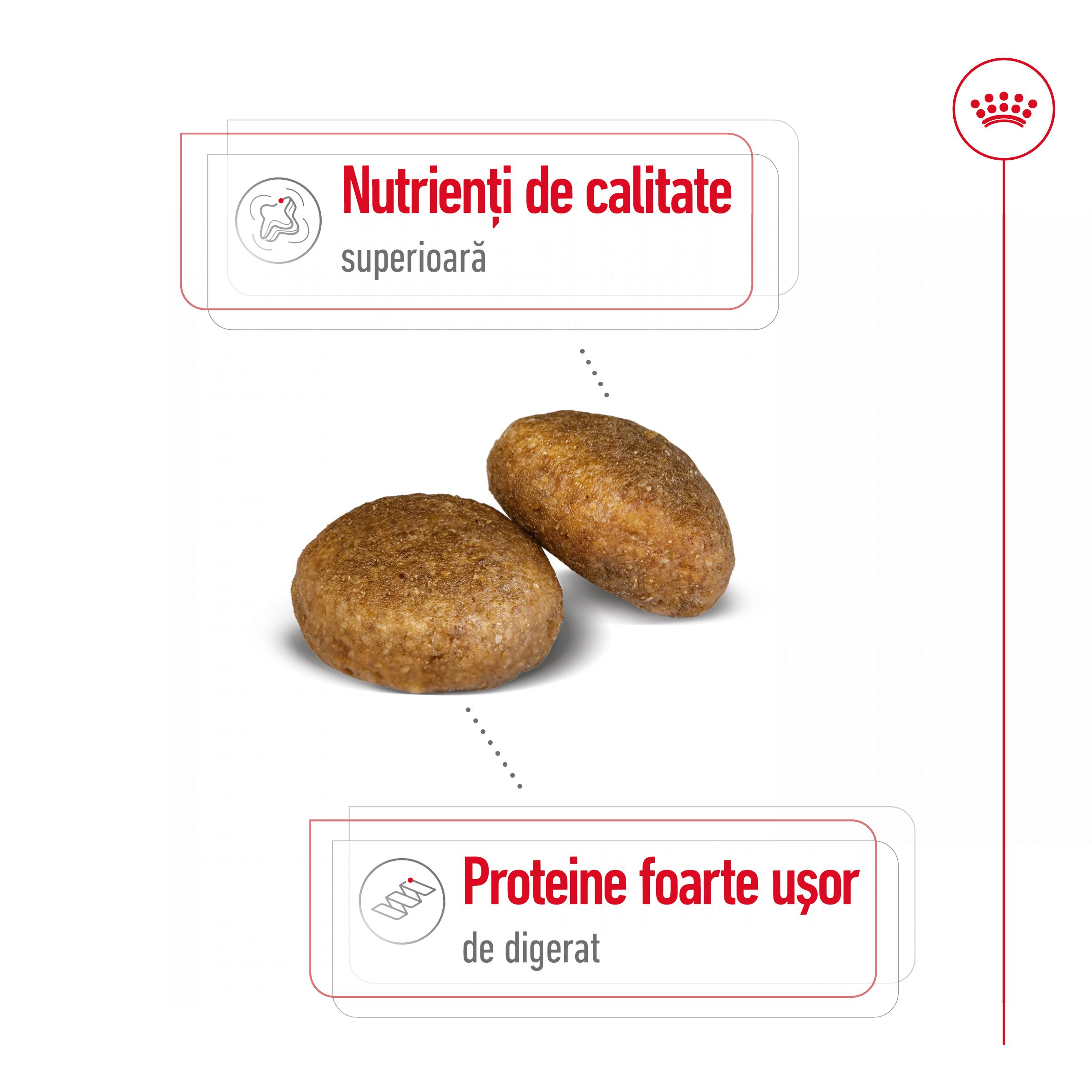 ROYAL CANIN Maxi Adult, hrană uscată câini, 15+3kg GRATUIT