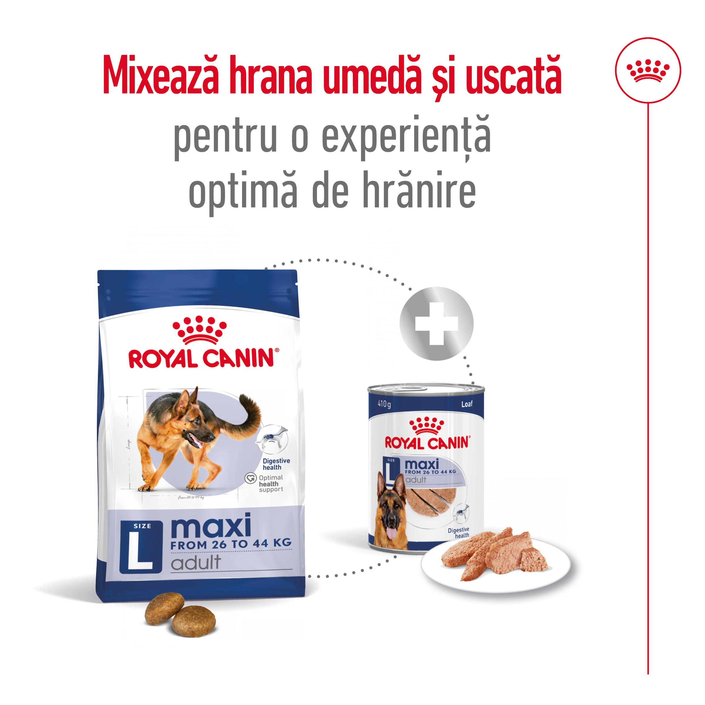 ROYAL CANIN Maxi Adult, hrană uscată câini, 15+3kg GRATUIT