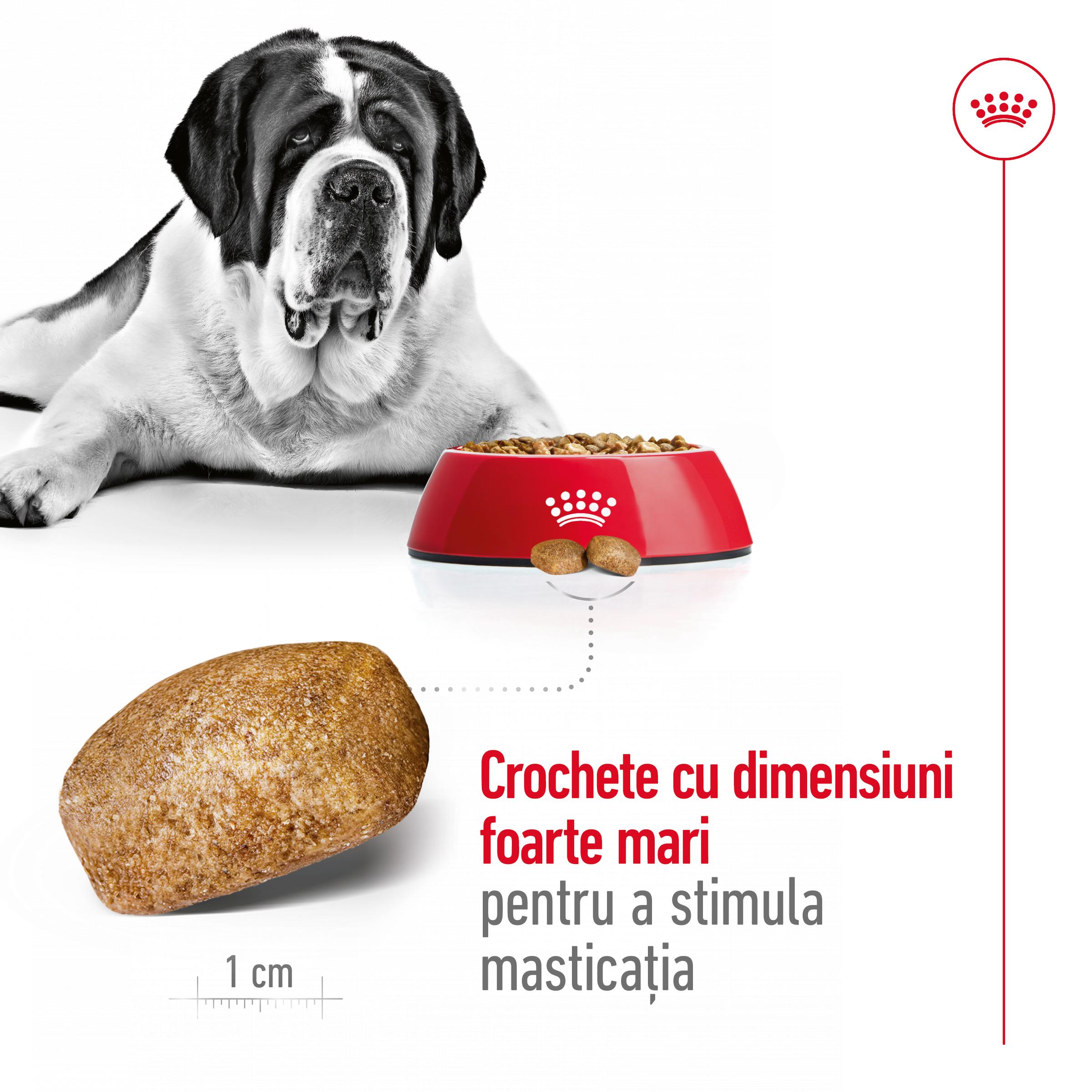 ROYAL CANIN Giant Adult, hrană uscată câini, 15+3kg GRATUIT