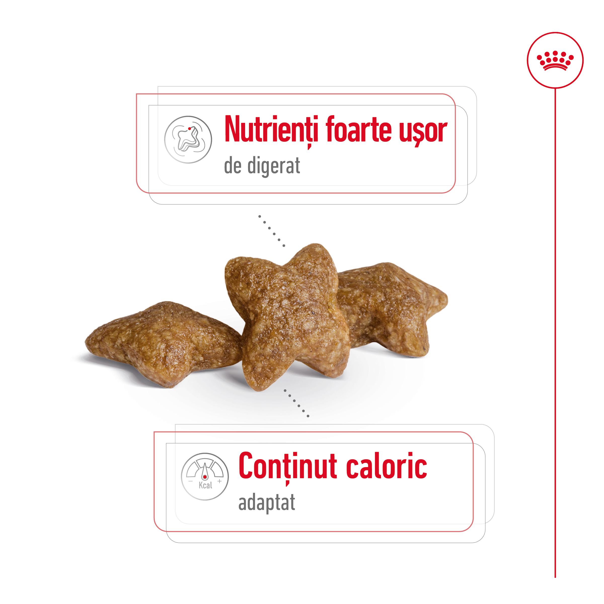 ROYAL CANIN Mini Adult, hrană uscată câini, 8+1kg GRATUIT