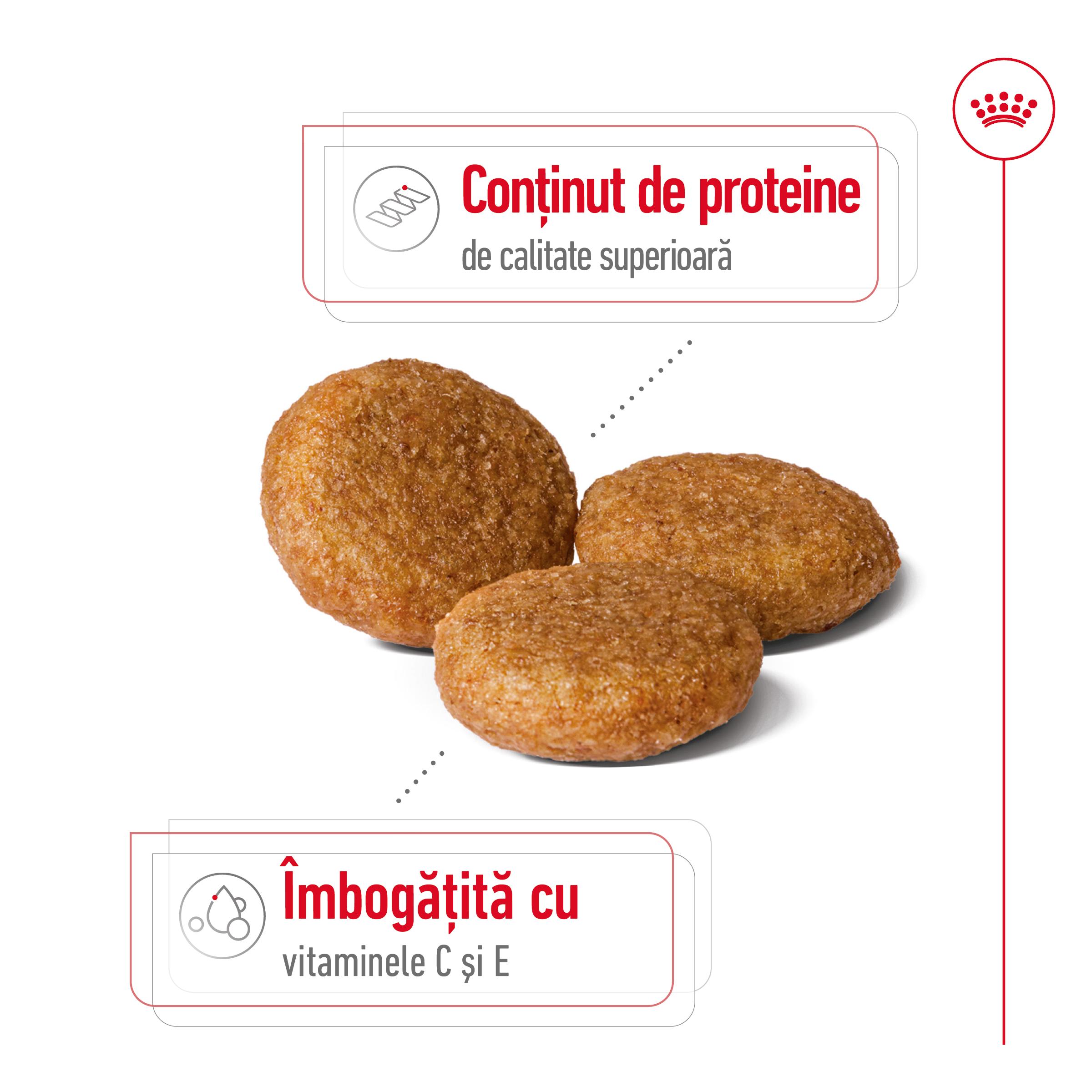 ROYAL CANIN Medium Adult, hrană uscată câini, 15+3kg GRATUIT