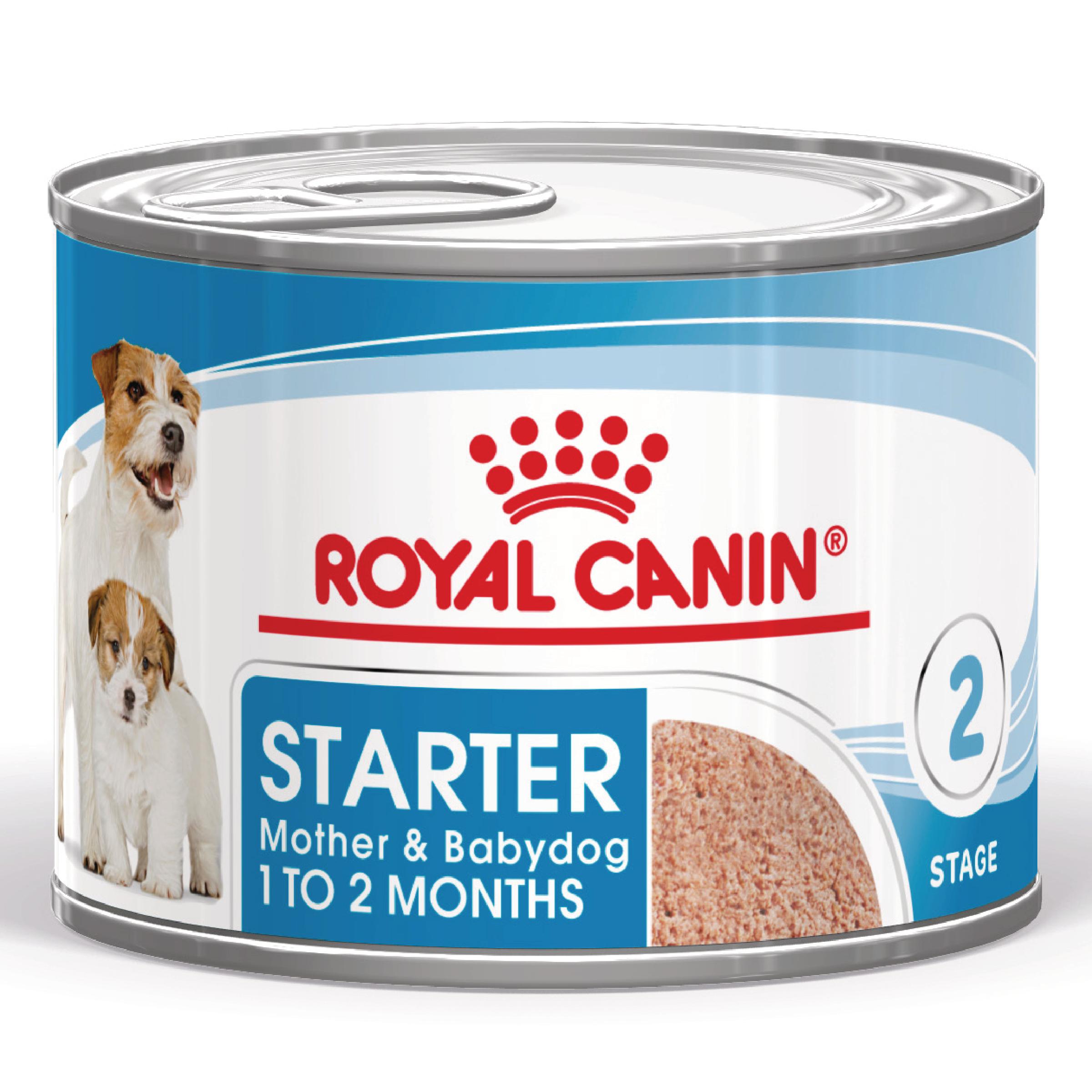 ROYAL CANIN Starter Mousse, mama și puiul, conservă hrană umedă câini, (mousse), 195g