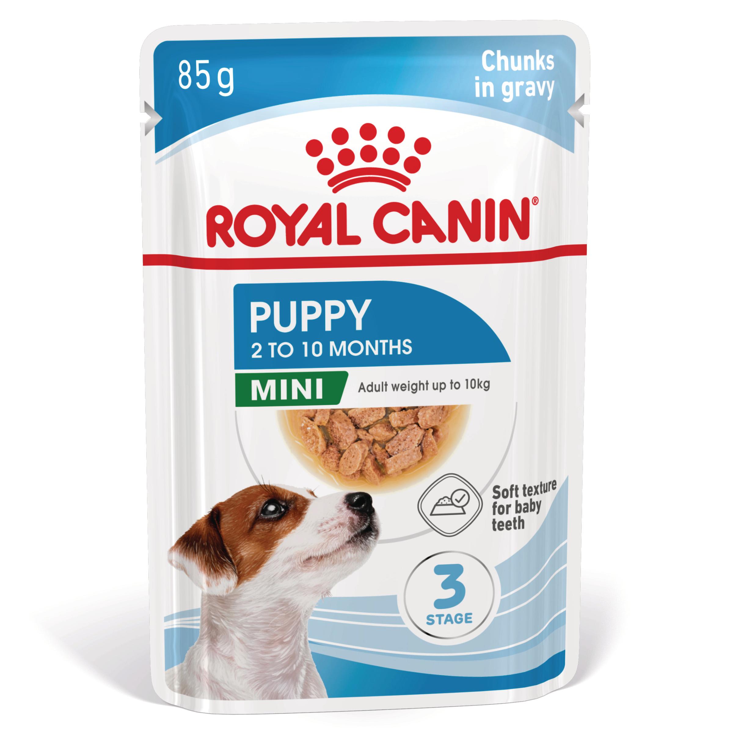 ROYAL CANIN Mini Puppy, hrană umedă câini junior, (în sos), 85g