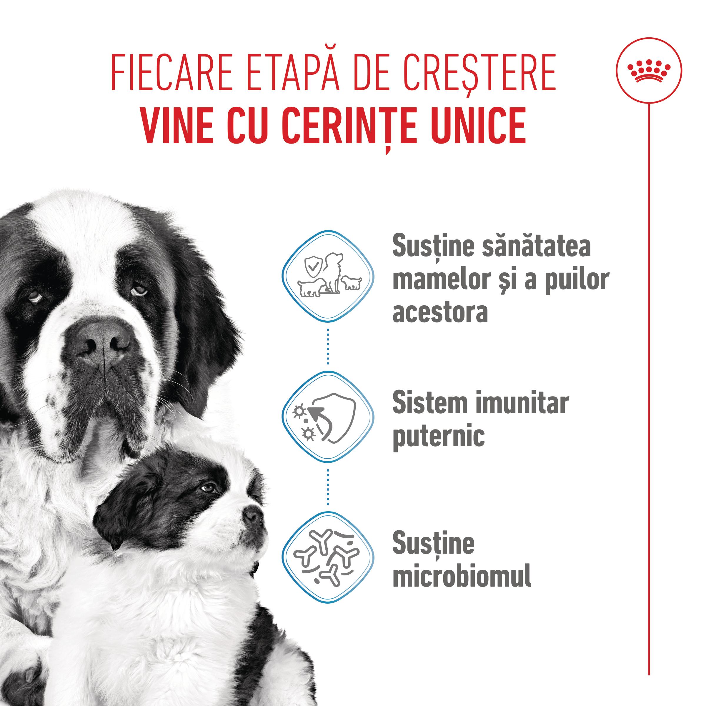 ROYAL CANIN Giant Starter Mother &amp; Babydog, mama și puiul, hrană uscată câini, 15kg