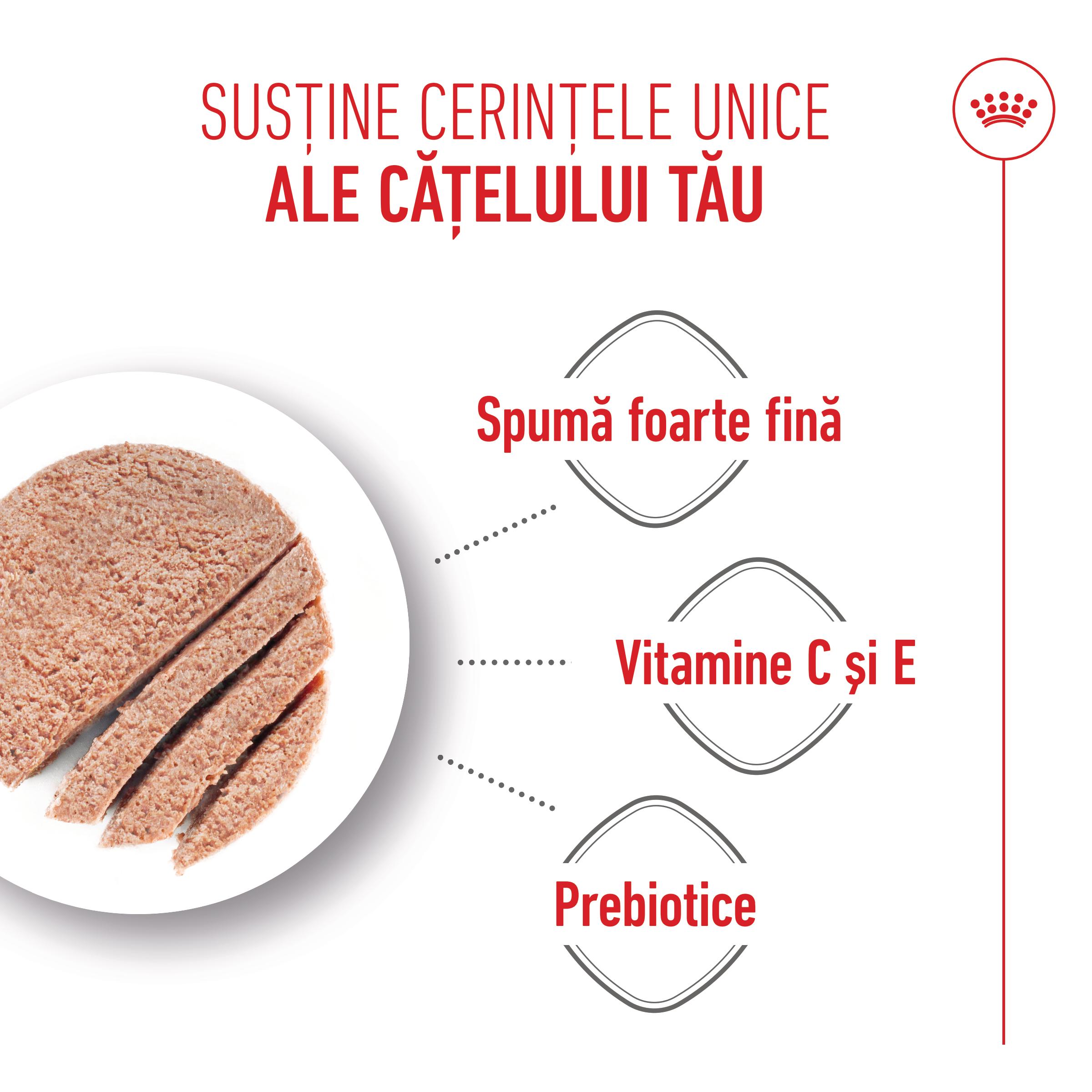 ROYAL CANIN Starter Mousse, mama și puiul, conservă hrană umedă câini, (mousse), 195g
