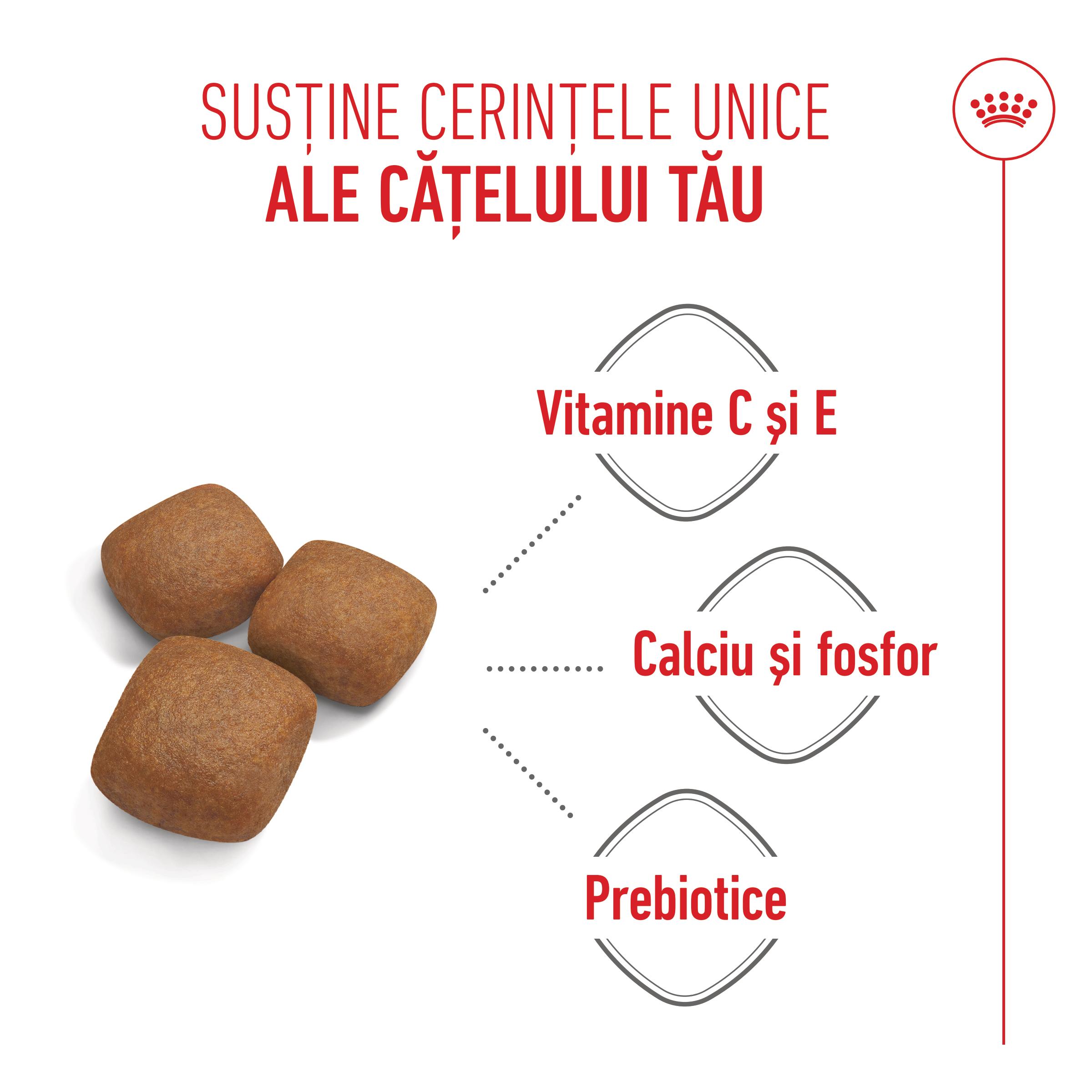 ROYAL CANIN Giant Junior, hrană uscată câini junior, etapa 2 de creștere, 3.5kg